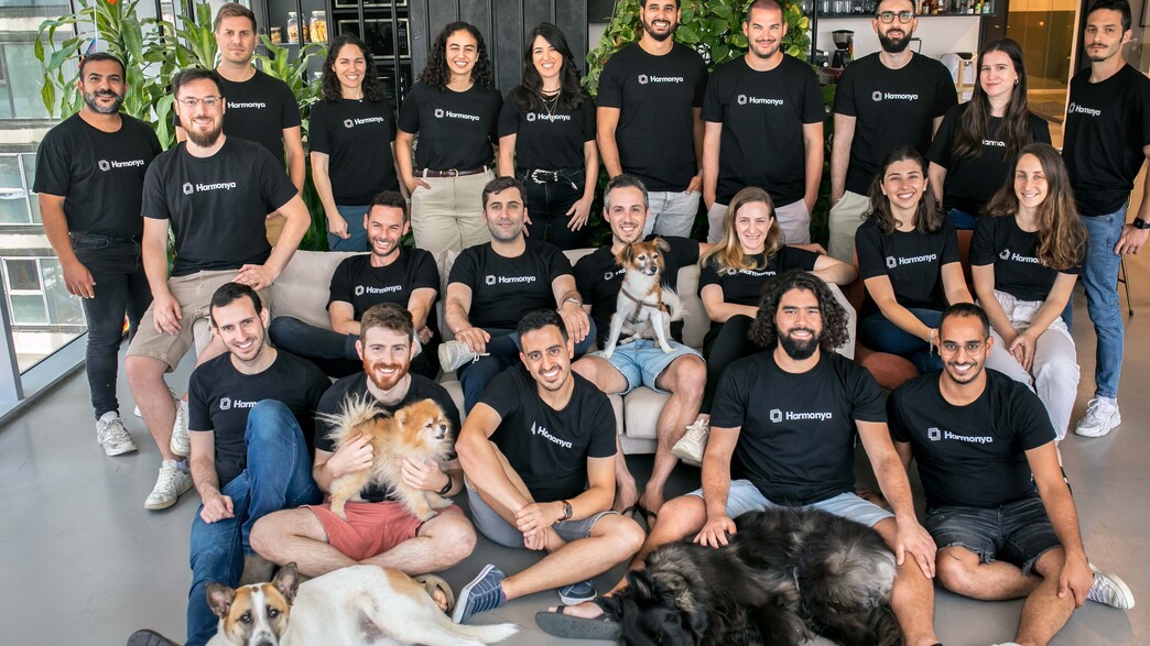 צוות הרמוניה צוות הרמוניה