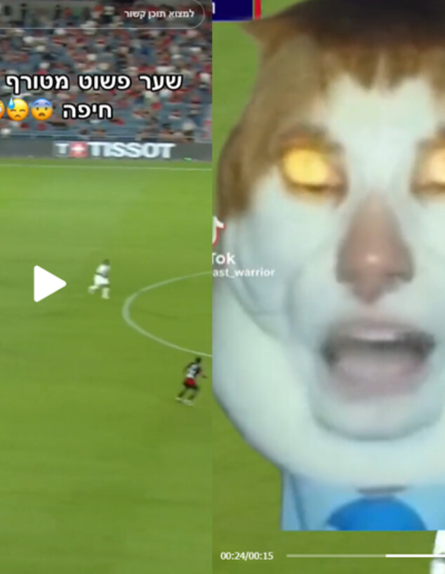 סרטון החתול של הפועל ירושלים