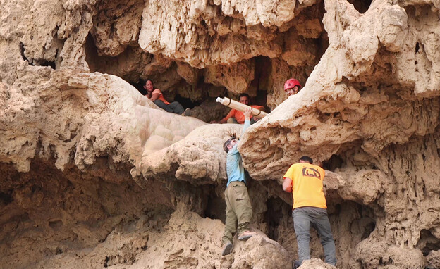 הוצאת החרבות מהמערה (צילום: אמיל אלג'ם, רשות העתיקות)