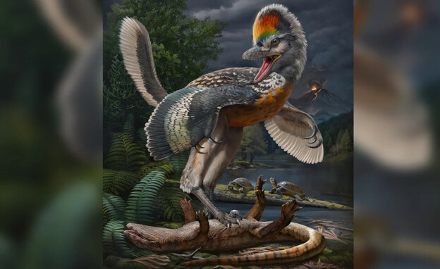 מאובן של דינוזאור דמוי ציפור (צילום: CNN)