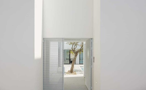 קיסריה אדריכלות עמית ביטון, ג,  מבט לחצר הפנימית ועץ (צילום: עוזי פורת)