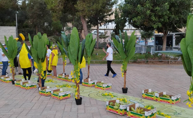 פעילי תנועת "אם תרצו" הקימו מיצג שדרת עצי בננות בכ (צילום: אם תרצו)