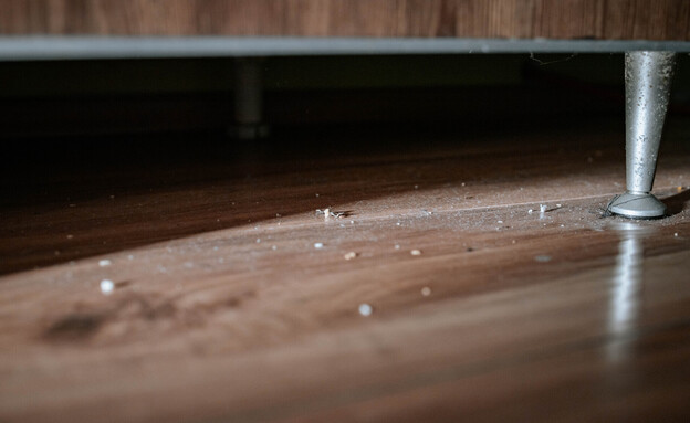 לכלוך מתחת למיטה, אבק בבית (צילום: Stivog, SHUTTERSTOCK)