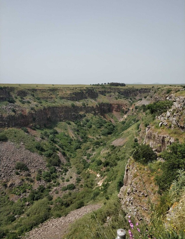 שמורת הטבע גמלא (צילום: רענן כץ)