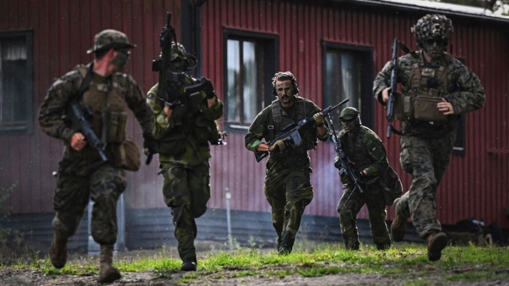 הכוחות הזרים (צילום: JONATHAN NACKSTRAND/AFP/GettyImages)