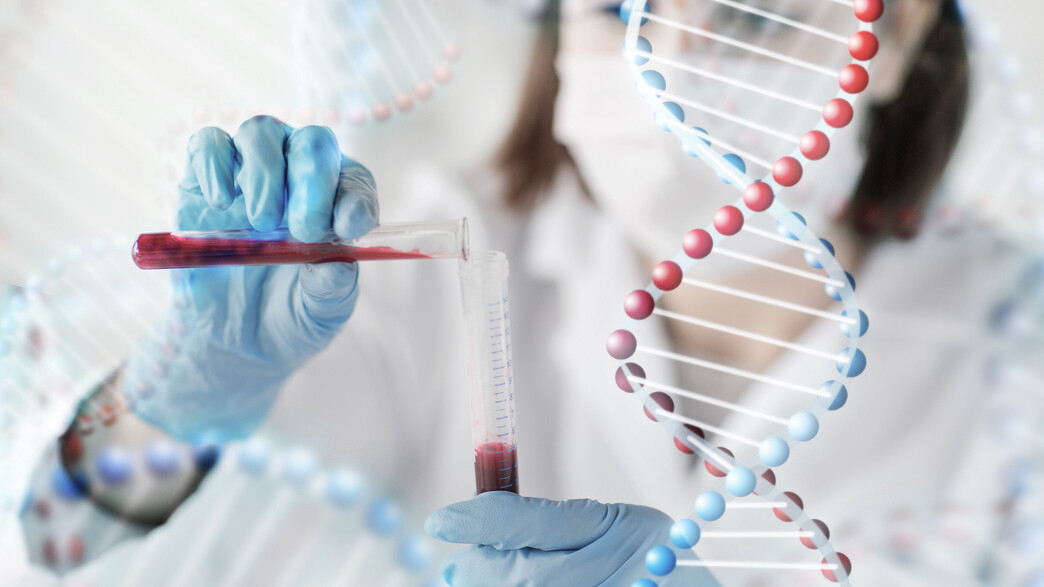 פיתוחים במעבדה