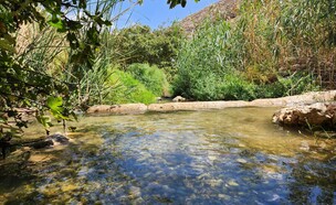 שמורת טבע עין פרת (צילום: רענן כץ)