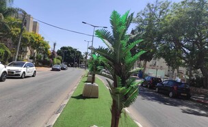עצים מפלסטיק. פתח תקווה (צילום: מוניקה כהן)