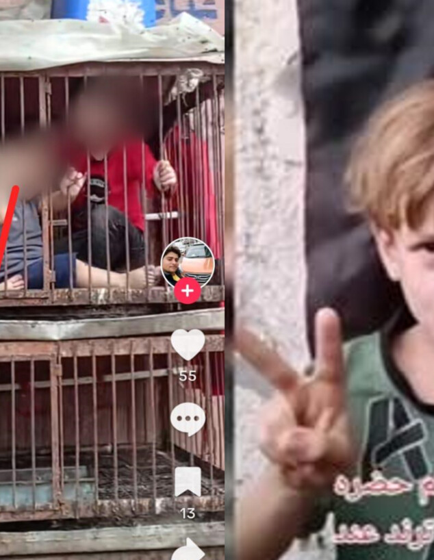 פייק ניוז ברשתות בזמן המלחמה