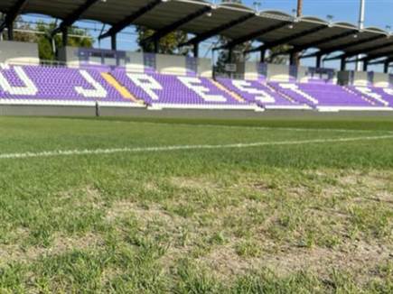 הדשא באצטדיון שמחכה לרומנים (צילום: Digi Sport) (צילום: ספורט 5)