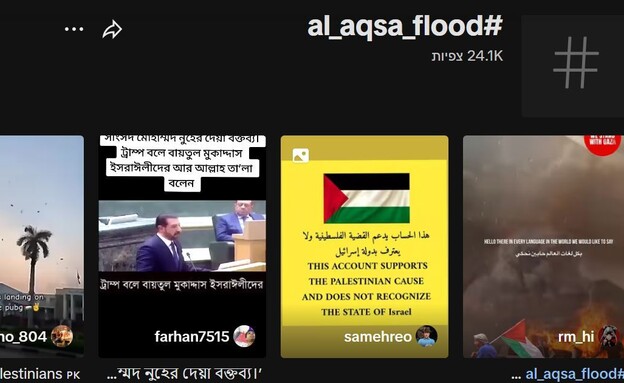 #al_aqsa_flood (צילום: tiktok)