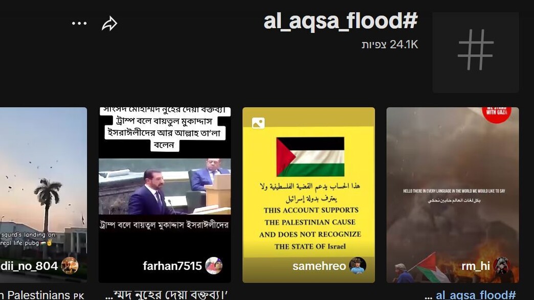 #al_aqsa_flood (צילום: tiktok)