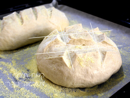 לחם 7 (צילום: אסתי רותם, mako אוכל)