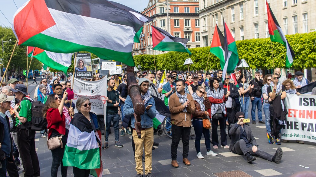 הפגנה פלסטין דבלין אירלנד  (צילום: LiamMurphyPics, shutterstock)