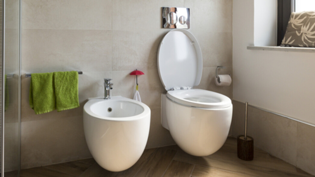 חדר שירותים עם בידה (צילום: caifas, Shutterstock)