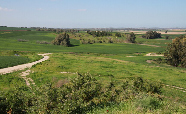 עוטף עזה  (צילום: אורלי גנוסר)