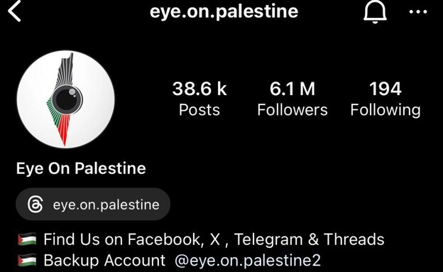 eye on palestine (צילום: instagram)