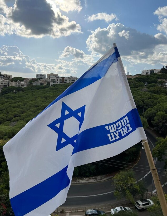 דגלים 3 (צילום: מירב כוכבי חיפה )