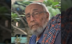 אריה זלמנוביץ