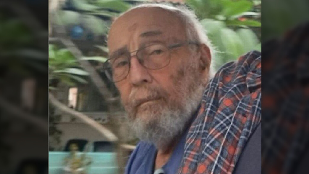 אריה זלמנוביץ