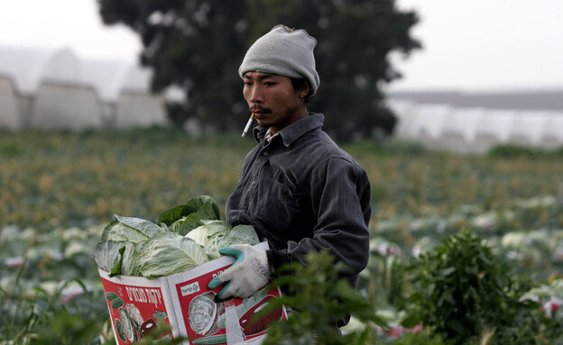 עובד חקלאות בקיבוץ נחל עוז (צילום: אדי ישראל, Flash90)