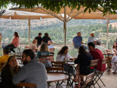 יקב קסטל (צילום: אלעד ברמי, יחסי ציבור) יקב קסטל (צילום: אלעד ברמי, יחסי ציבור)