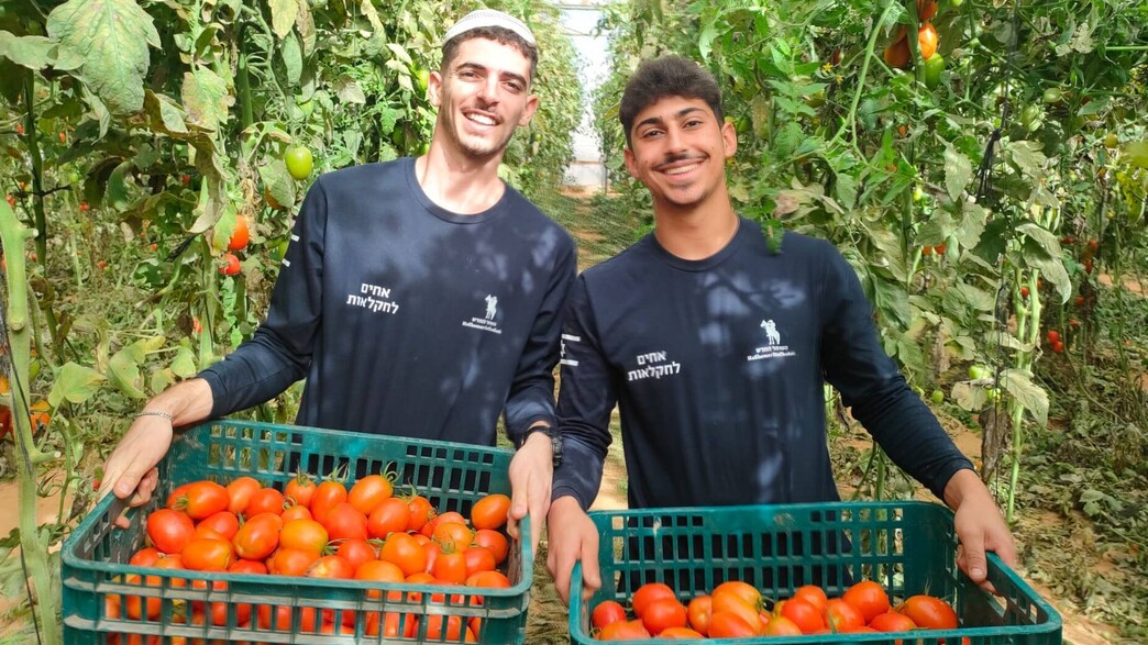 השומר החדש מתנדבים 3 