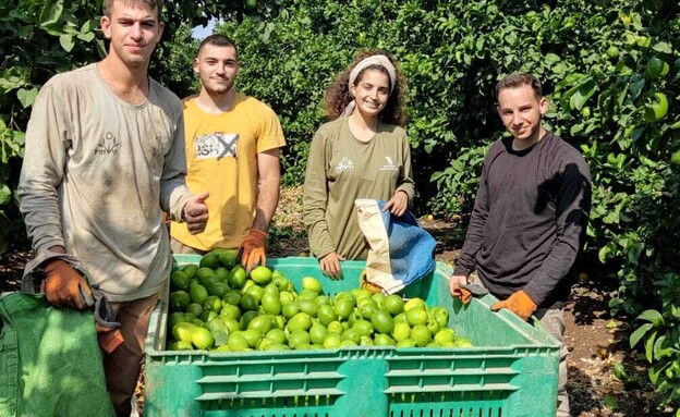 השומר החדש מתנדבים 4 