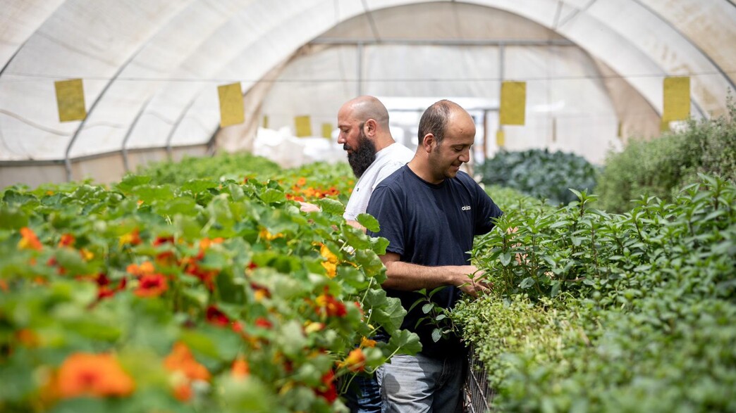 השוק שמביא את הצפון והדרום לתל אביב השוק שמביא את הצפון והדרום לתל אביב