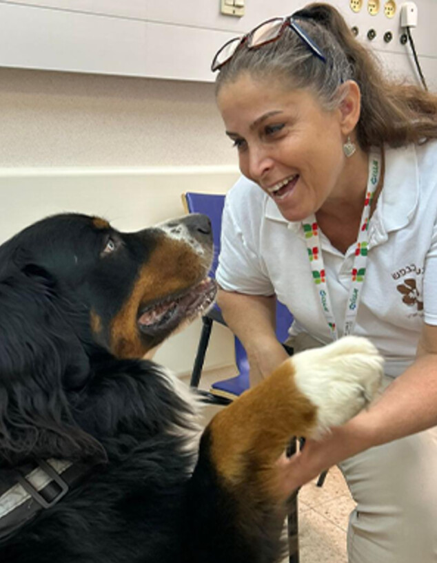 מיכל לבנשטיין, ראש מערך כלבנות רפואית בבילינסון (צילום: דוברות בילינסון )