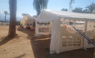 אוהלים בבית הספר הזמני לילדי המועצה אזורית אשכול באילת