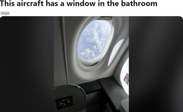 חלון בתא שירותים במטוס (צילום: reddit)