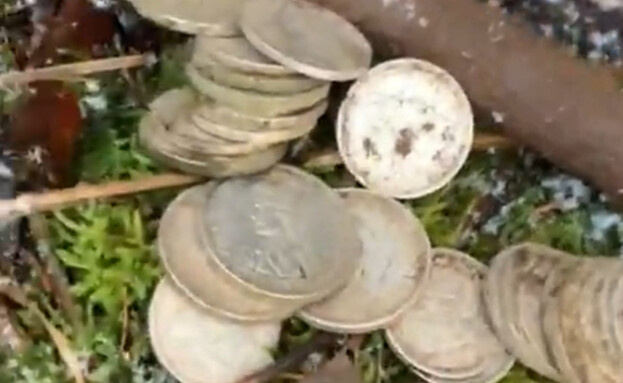 מטבעות ממלחמת העולם השנייה (צילום: tiktok/@al_history_team, רשתות חברתיות)