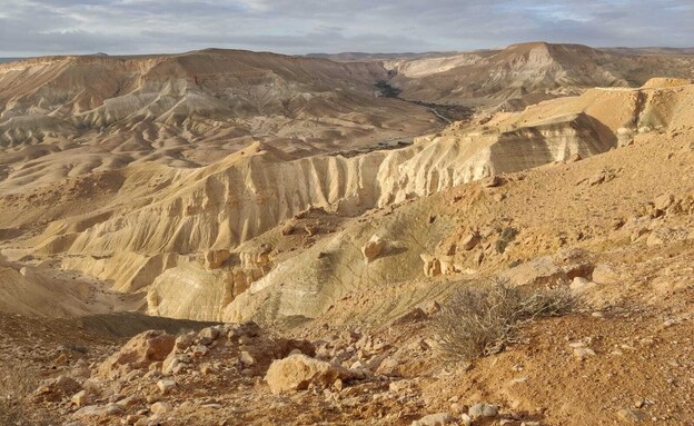 שדה בוקר (צילום: אורלי גנוסר)