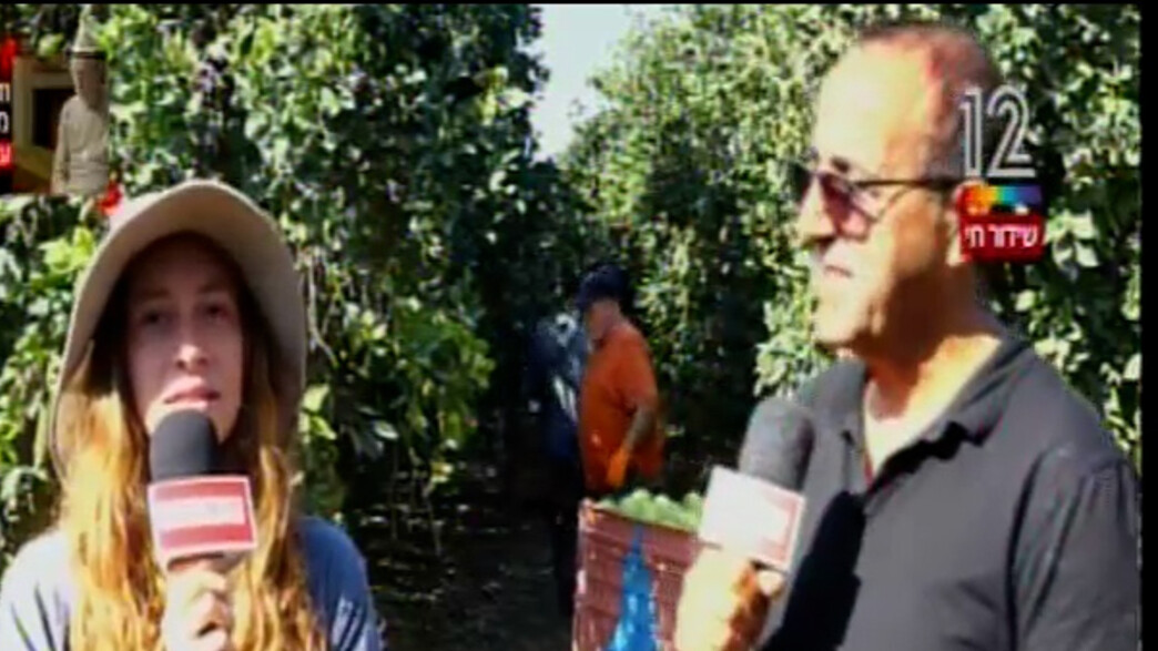 מלגת קטיף לאומי בקיבוץ מפלסים מלגת קטיף לאומי בקיבוץ מפלסים