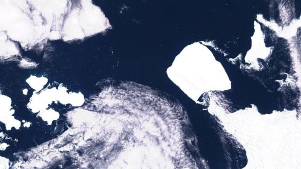 "הקרחון הגדול בעולם, A-23a, נמצא בתנועה לאוקיינוס הפתוח" (צילום: מתוך תיעוד שעלה ברשתות חברתיות, לפי סעיף 27א' לחוק זכויות יוצרים)