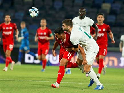 מקרי עם הרבה מאבקים (צילום: אלן שיבר)