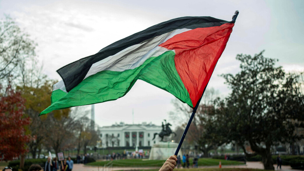 הפגנה פרו-פלסטינית מחוץ לבית הלבן