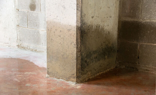 הצפה במרתף (צילום: Picunique, shutterstock)