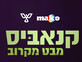 קנאביס - מבט מקרוב