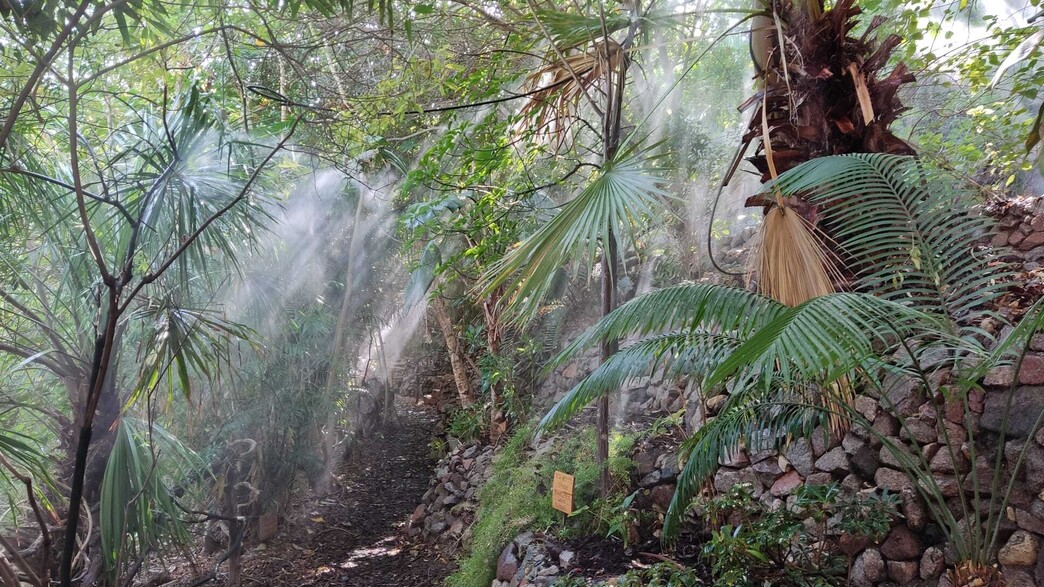 הגן הבוטני של אילת