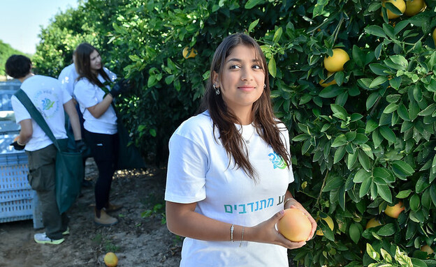 ארגון מסע שיראל