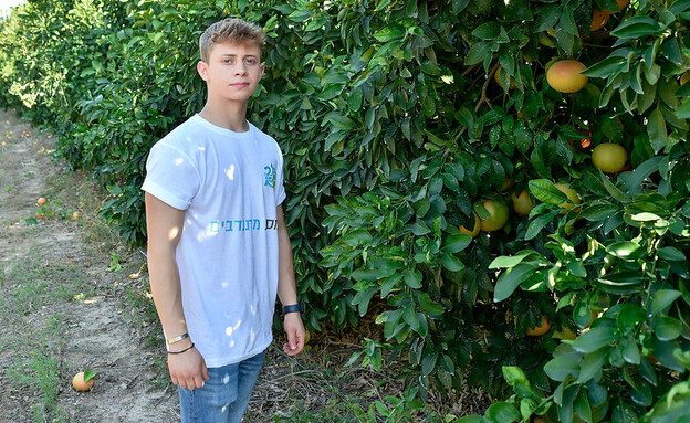 ארגון מסע דניאל