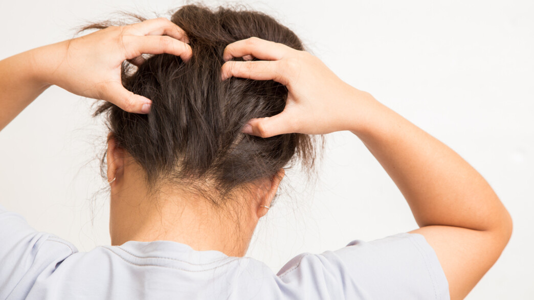 אישה מגרדת בראש אישה מגרדת בראש