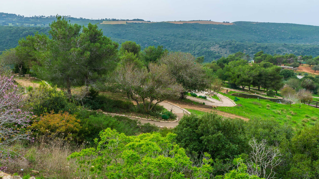 חי בר כרמל חי בר כרמל