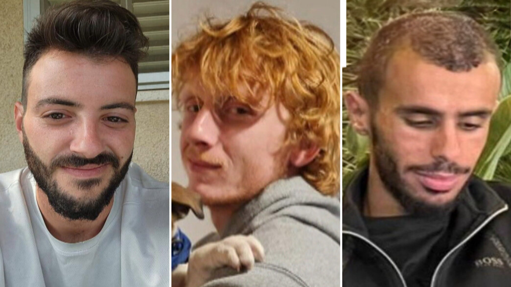 סאמר פואד אל טלאלקה, יותם חיים, אלון לולו שמריז