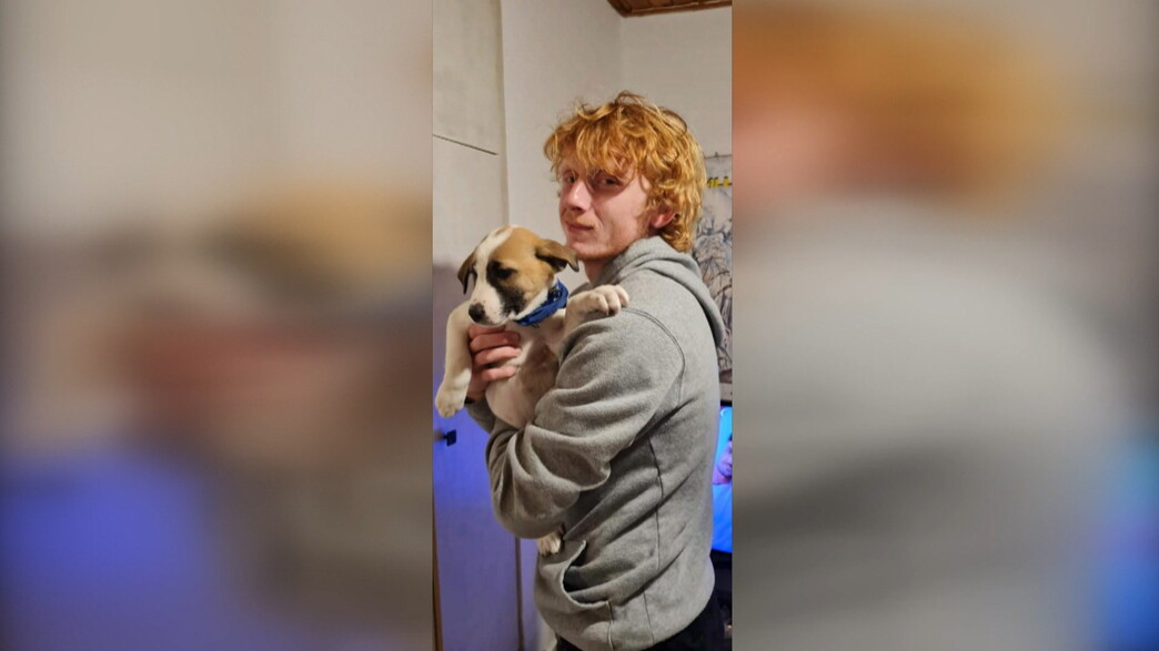 יותם חיים יותם חיים