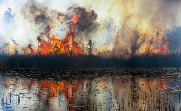 Flames (צילום: Pete Meyer, The 10th International Landscape Photographer of the Year)