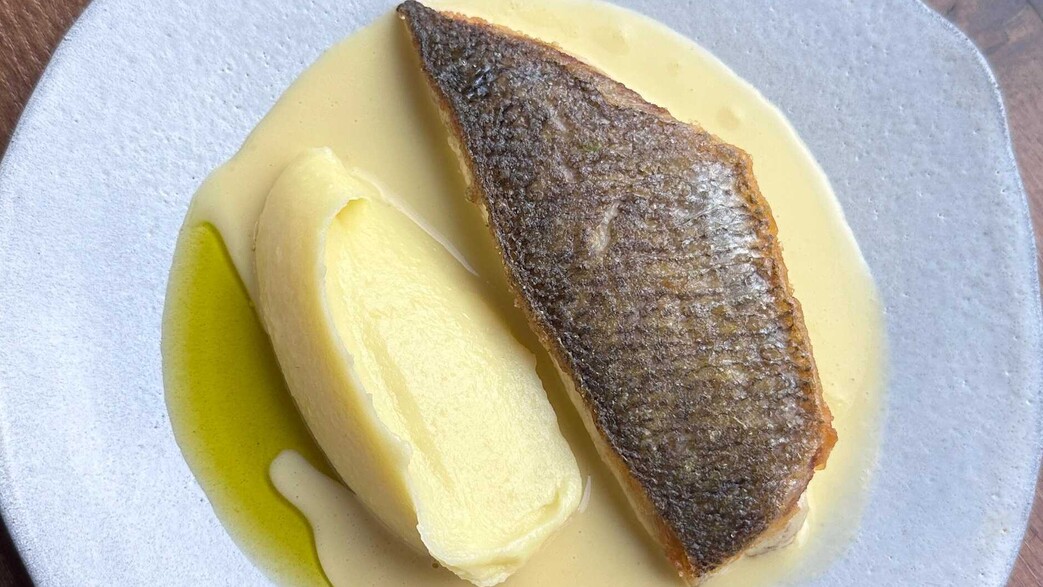 סנטי. ארוחות צהריים סנטי. ארוחות צהריים