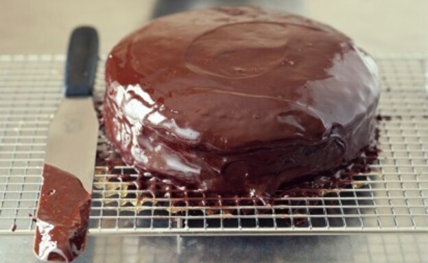 עוגת שוקולד עם ציפוי שוקולד (צילום: Michael Paul, GettyImages IL)